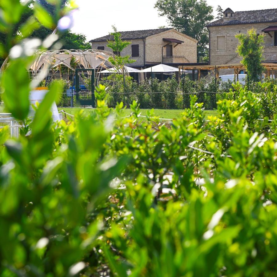Moretti Village - B&B Civitanova Marche Exterior foto